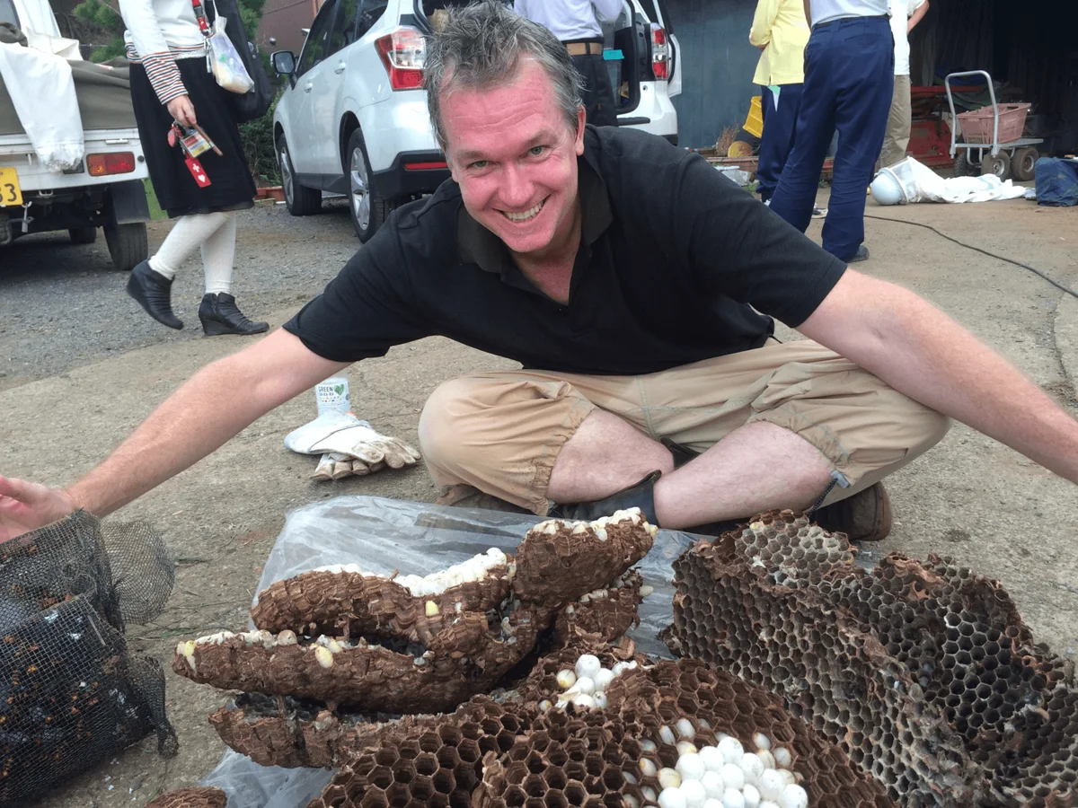 Michael J. Trout holding a large hornet comb during field work in Japan